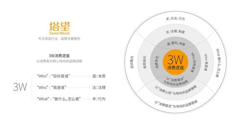 塔望核心业务介绍 食品品牌咨询、品牌策划与健康咨询服务的专业体系