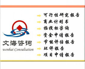 皮革项目商业计划书编制服务 价格、规格与专业咨询